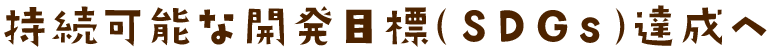 持続可能な開発目標（SDGs）達成へ